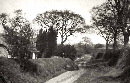 Charminster Road 1900